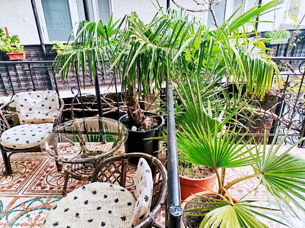 Гостевой дом Карадениз Рыбачье-48