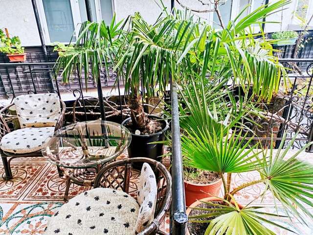 Гостевой дом Карадениз Рыбачье-47