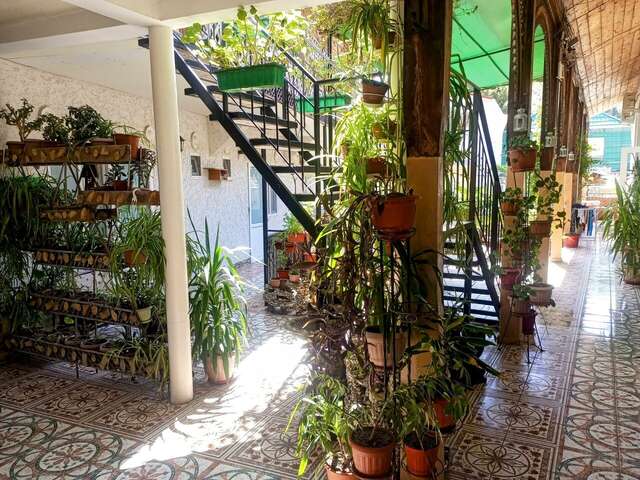 Гостевой дом Карадениз Рыбачье-60